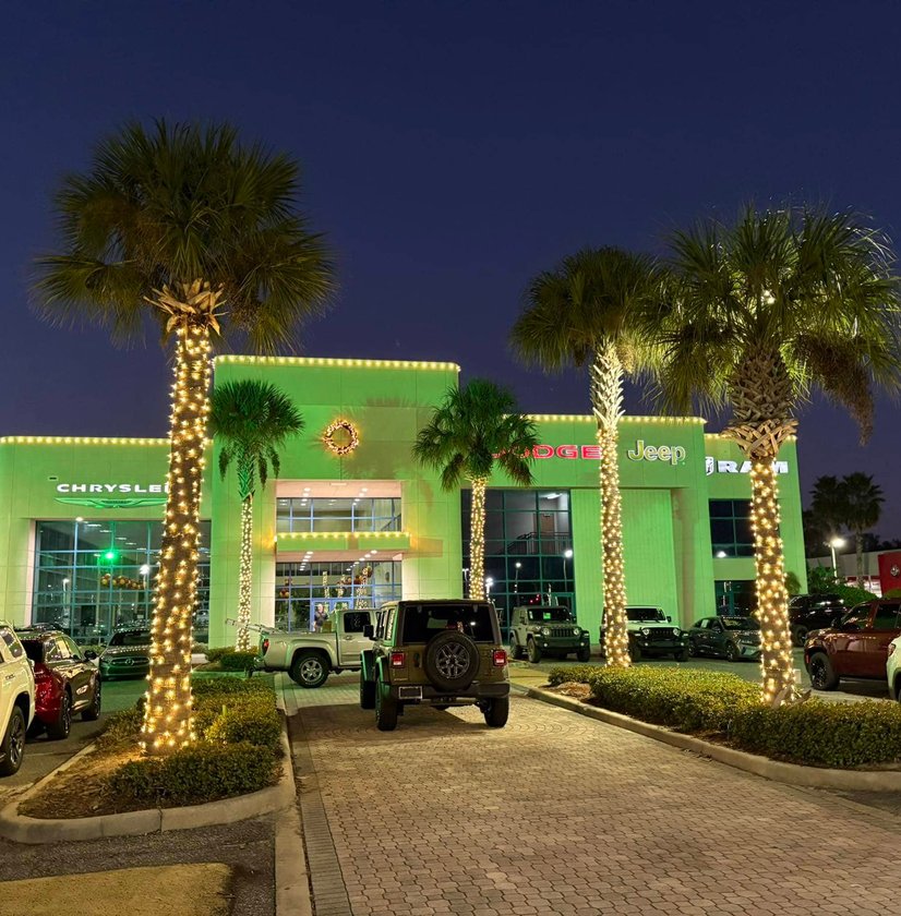 Tree and roofline holiday lighting